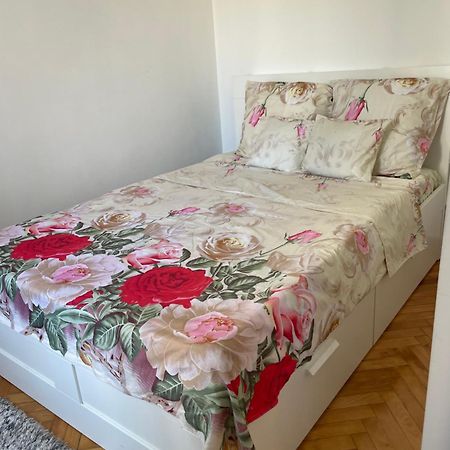 Apartment Victoria Szamosújvár Kültér fotó